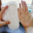 춤추는 고래 | 생리대 비교 입는 오버나이트 생리대 팬티형 입는 생리대 추천 춤추는고래 생리대 후기