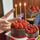 롤썸현대 | 투썸플레이스 스초생 투썸 홀케이크 가격 칼로리 후기