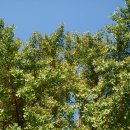 남한강변길 이미지