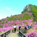 아름답고푸른화원