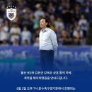 윗선골 | [공지] [울산] 홍명보-&gt;김판곤-&gt;신태용까지, 지난 1년간 울산HD 팬들에게 있었던 일