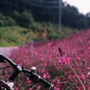 바다그리다 이미지