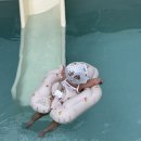 호화리안 | 내돈내산 아기랑 경북 청도 키즈풀빌라, 독채펜션 호화리안 내돈내산 후기