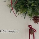 12/4 크리스마스 생화 트리 이미지