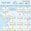 31 이미지
