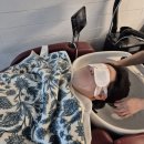 프로헤어크리닉 | 여름맞이 투블럭 남자 커트 ; 백프로헤어 성연점 남성 커트, 클리닉 깔끔한 후기