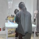 대구 고양이 미용 밀꼬냥 이미지