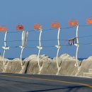 망양리 대게공원 이미지