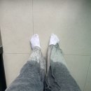 새솔동물병원 | 08. (1) 너 정말 **핵심**을 찔렀어