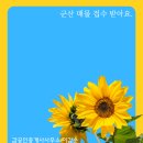 진안공인중개사사무소 네이버블로그