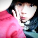 저단14 Daum카페