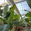 덕기농장 이미지