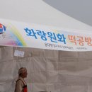 경주 도자기 축제(2011.5.2) 이미지