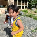 보령국민체육센터 수영장 이미지