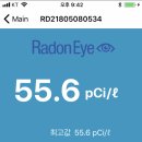 네오그린 이미지