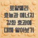 RoyalJelly | 로얄젤리 효능과 에너지 강화 효과에 대해 알아보기