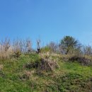 돌다리 농장 이미지