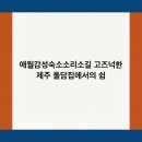 소리소길