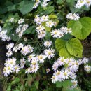 대호레져글램핑 이미지