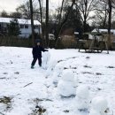 사돈농장 이미지