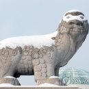 해태현수막