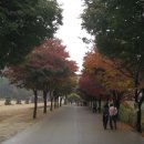 경기정보통신 이미지