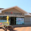 셰프라인월드 네이버블로그
