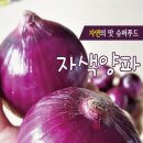 식약동원