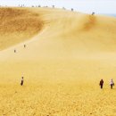 모래언덕 이미지