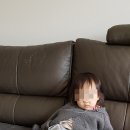 꼬미네집
