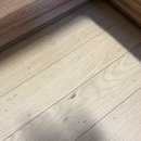 웰리스동물병원 고잔점 | 마루바닥패임 보수 복원