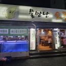 물만난오징어 이미지