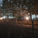 마두공원 이미지