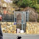 수지애견 이미지