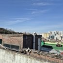 중앙동290 이미지