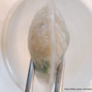 [충남 홍성 맛집] 백종원 3대천왕, 얼큰 굴 칼국수 &#34;결성칼국수&#34; 후기