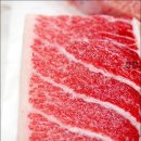 싱싱참치 이미지