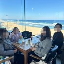 강릉은가비펜션 | 올해도 강릉 1박2일 반려견동반 맛집 카페 여행