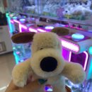 아싸실내낚시터 이미지