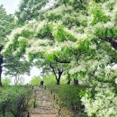 하늘아래 이미지