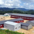 중원대학교 공공승마장 이미지