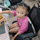 뚝딱뚝딱 나무 이야기 이미지