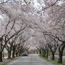 암곡와동경로당 이미지