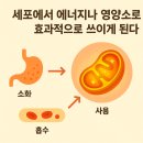 효동한의원 이미지
