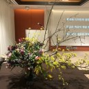 마미디자인 - 군포시 송부로95번길 14-10 | 마미디자인