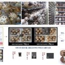 서우엠에스