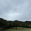 빨간오뎅 | 제천 중앙시장 명물 빨간오뎅 찐 후기 베론성지 여행