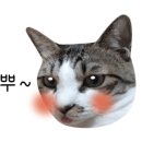 달다곰이NC 이미지
