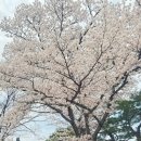 신평동392 네이버블로그