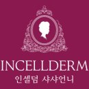 샤샤인셀덤 이미지